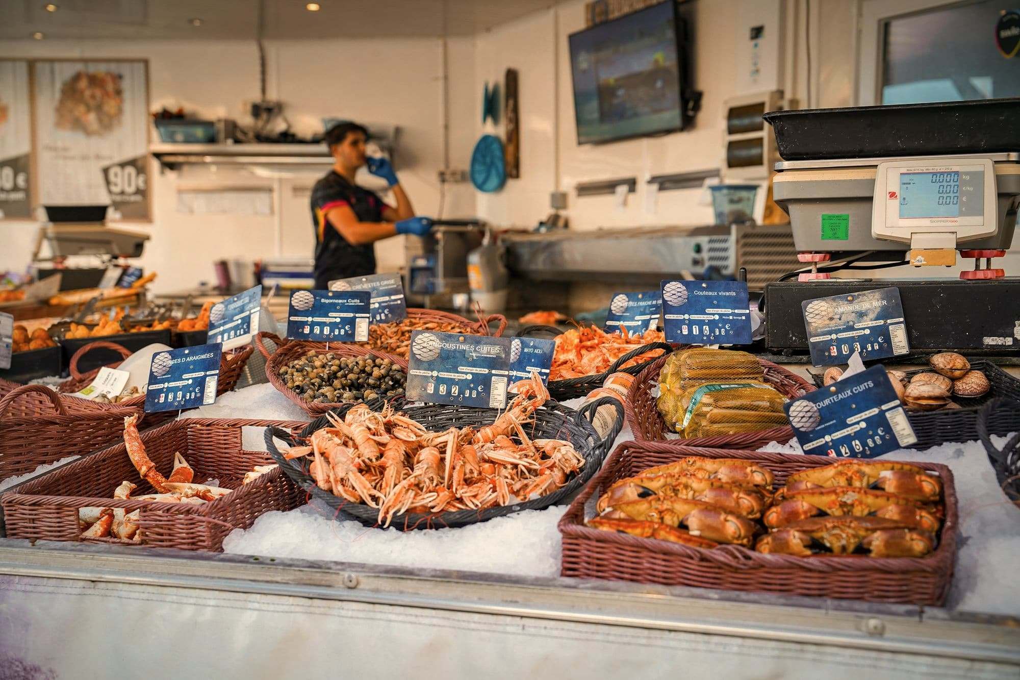 A fishmonger's counter of langoustines, shellfish and fish laid out on ice.